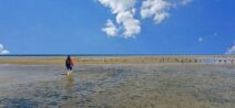 Wandern und Radfahren auf Texel